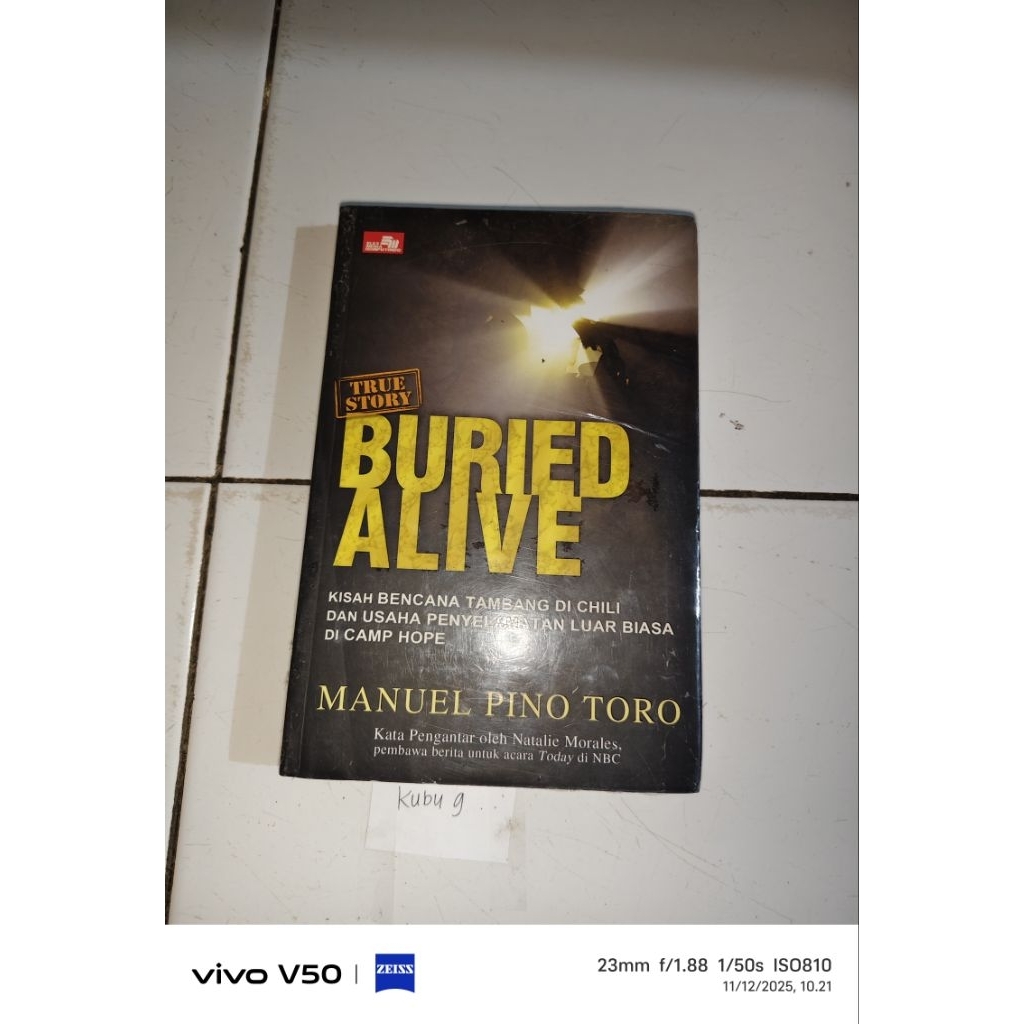 Buku Buried alive - Manuel Pino Toro