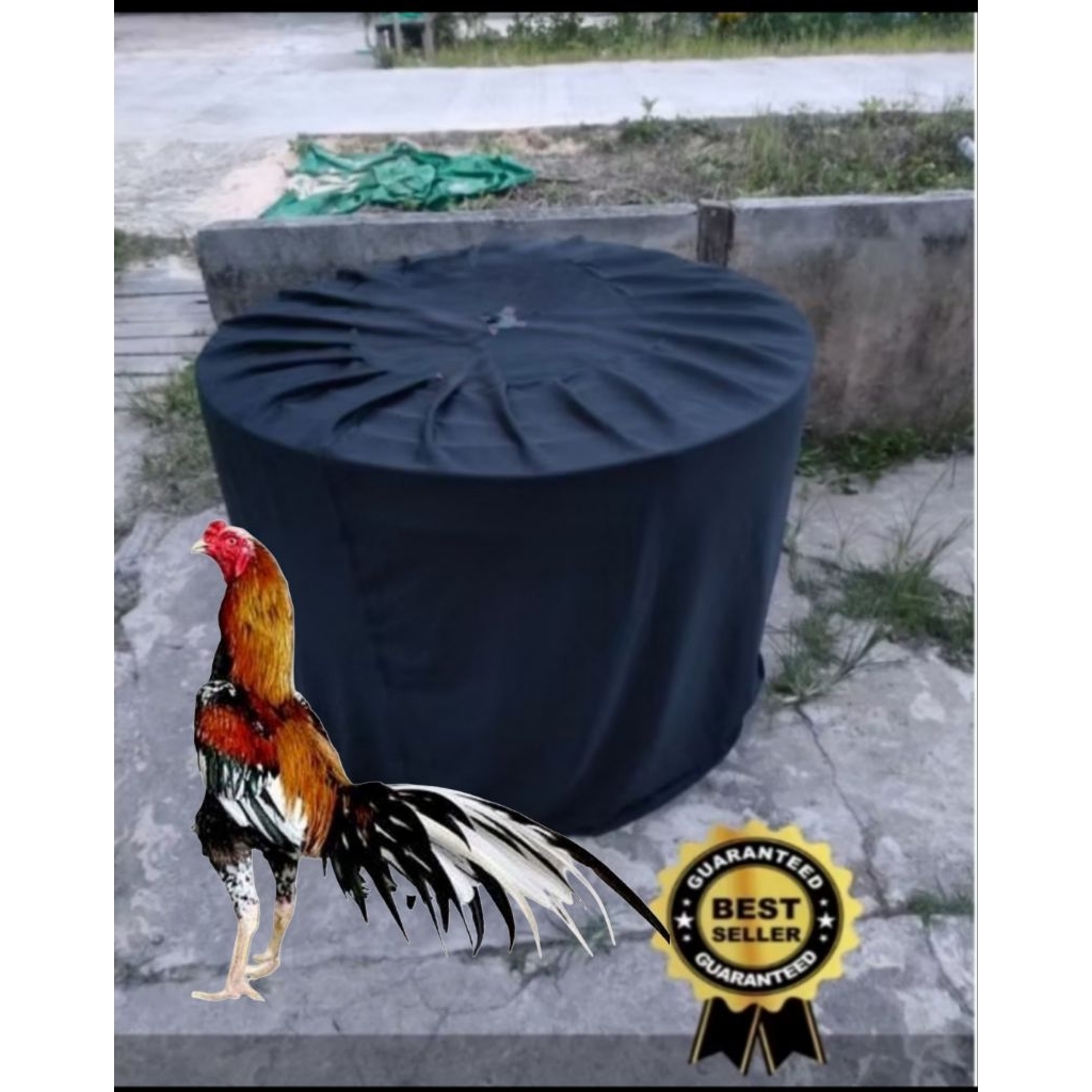 kerodong  ayam Bangkok UK super JUMBO bahan TEBAL Dabel Mes kelambu ayam jago