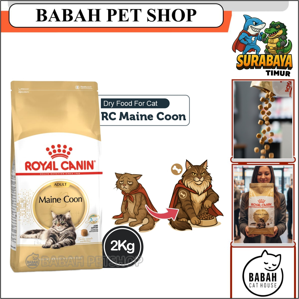 2kg ROYAL CANIN ADULT MAINECOON cat food makanan kucing rc main coon untuk dewasa ras besar bulu pan