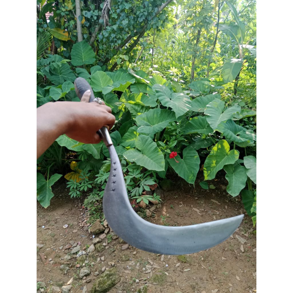 Alat pemangkas arit rumput baja asli ori bintang lima alat berkebun dan taman