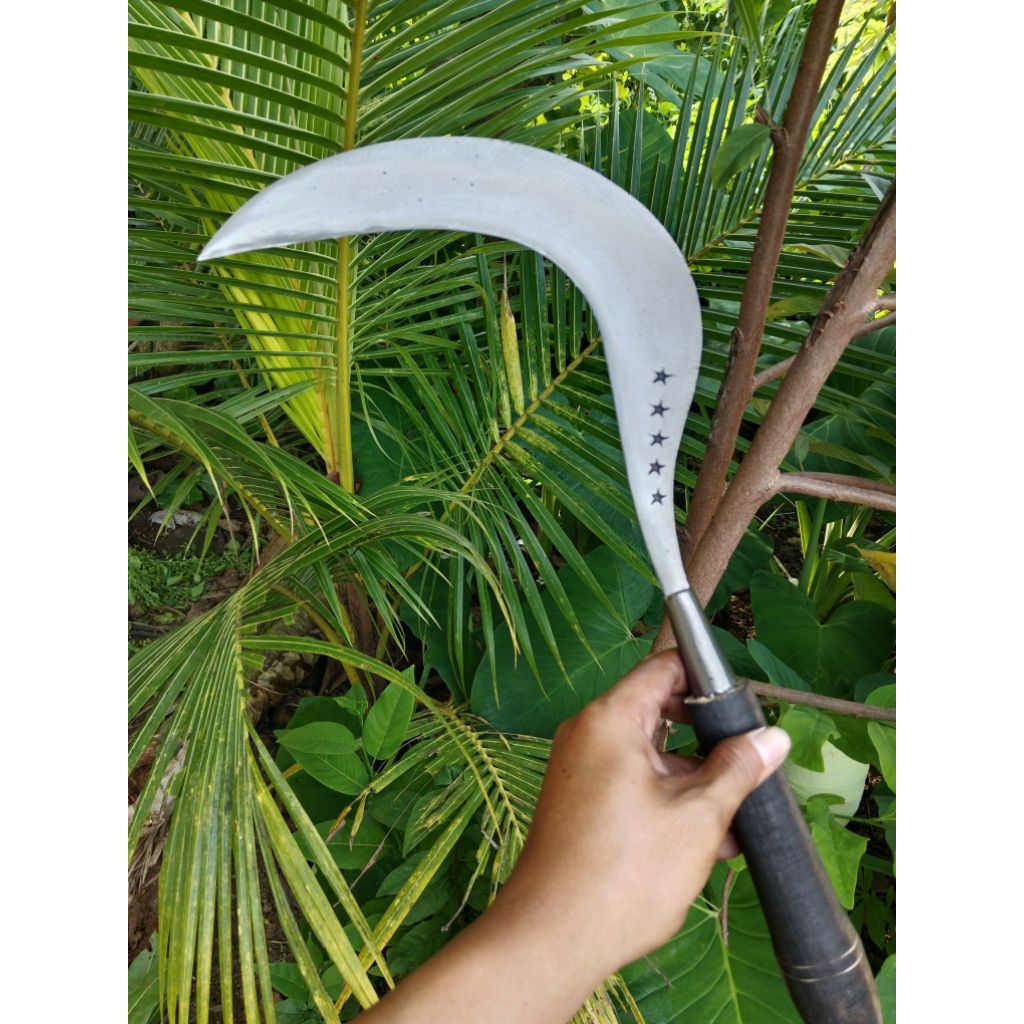 Alat pertanian tradisional pemangkas arit alat berkebun