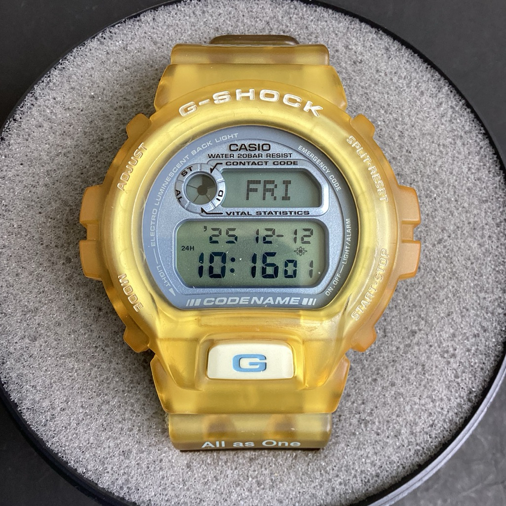 GShock DW6910K ICERC Gshock dolphin gshock second