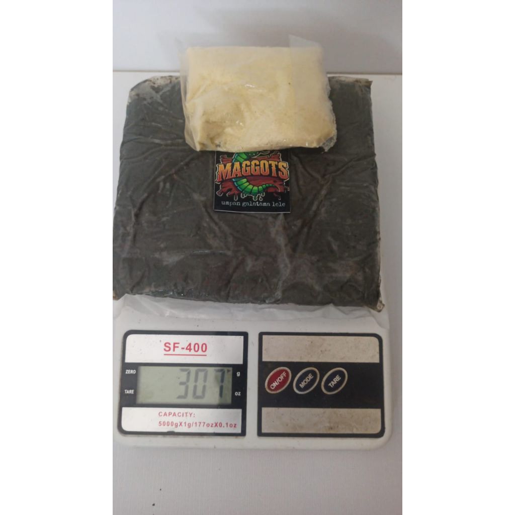 MAGOT umpan olahan galatama lele 250 grm