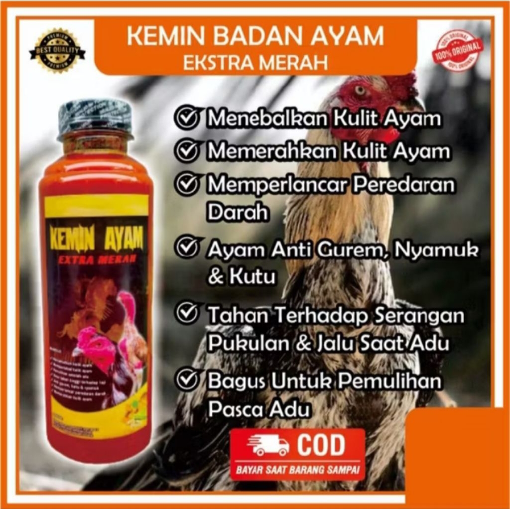 Kemin Kulit Ayam Bubuk Ekstra Merah Merona Bangkok Persiapan Adu Memerahkan Kulit Ayam Jamu Ayam Ban