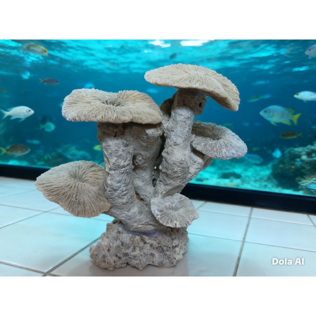 karang jahe Batu Karang laut dekorasi alam dekorasi aquariun batu karang akuarium