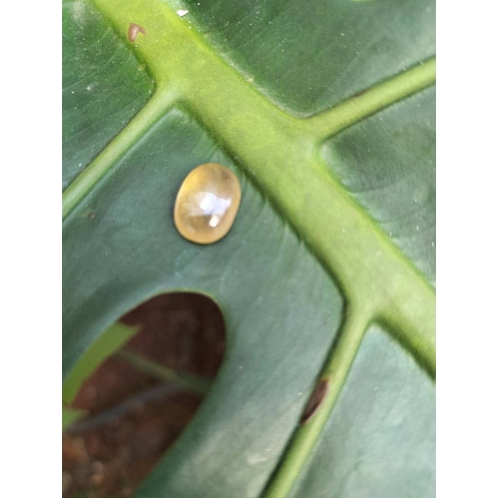 NATURAL YELLOW SAPPHIRE