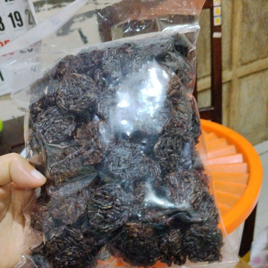 rengginang cumi