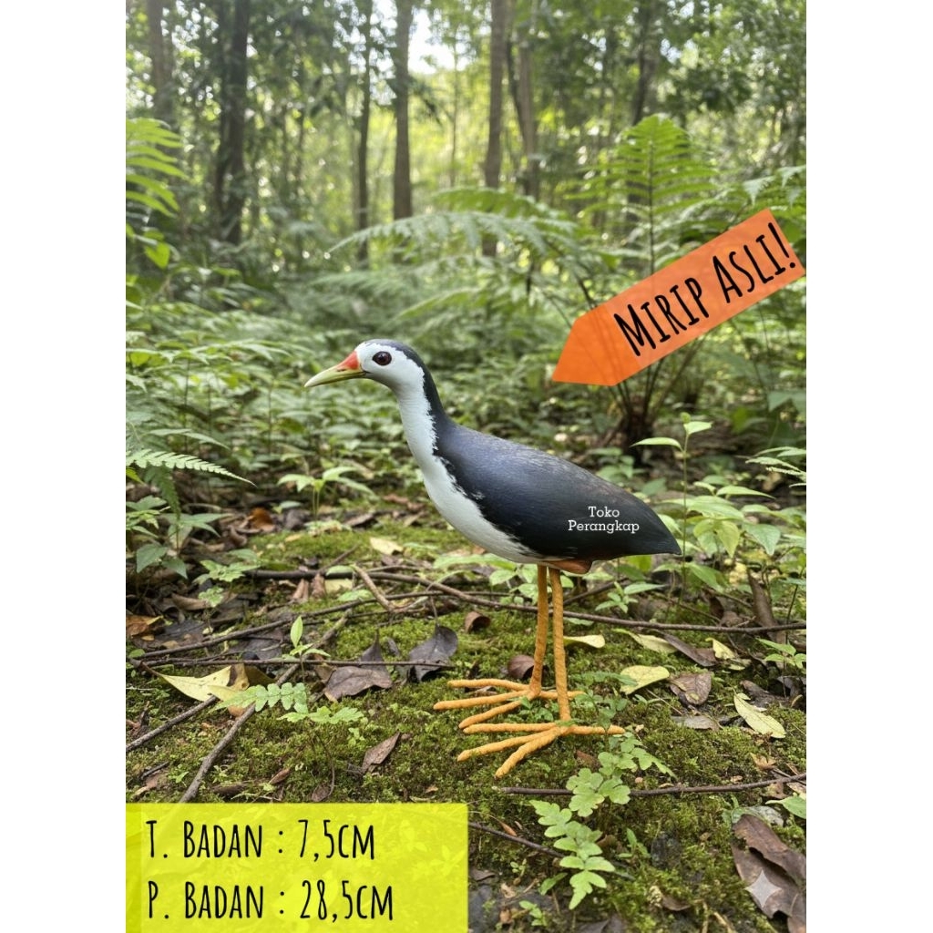 Patung burung ruak ruak kareo padi mirip asli