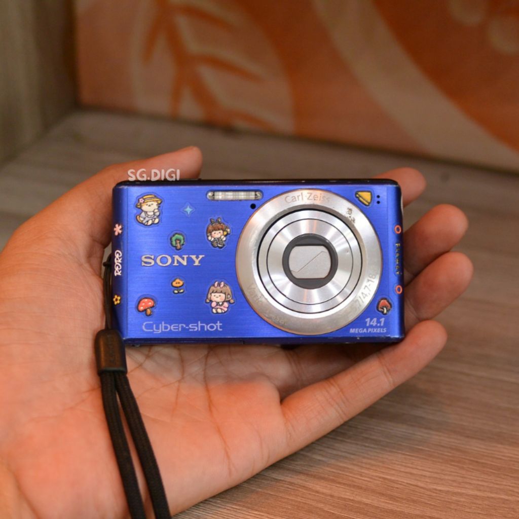 Kamera Sony Cyber Shot DSC W530 Digicam Digital Camera