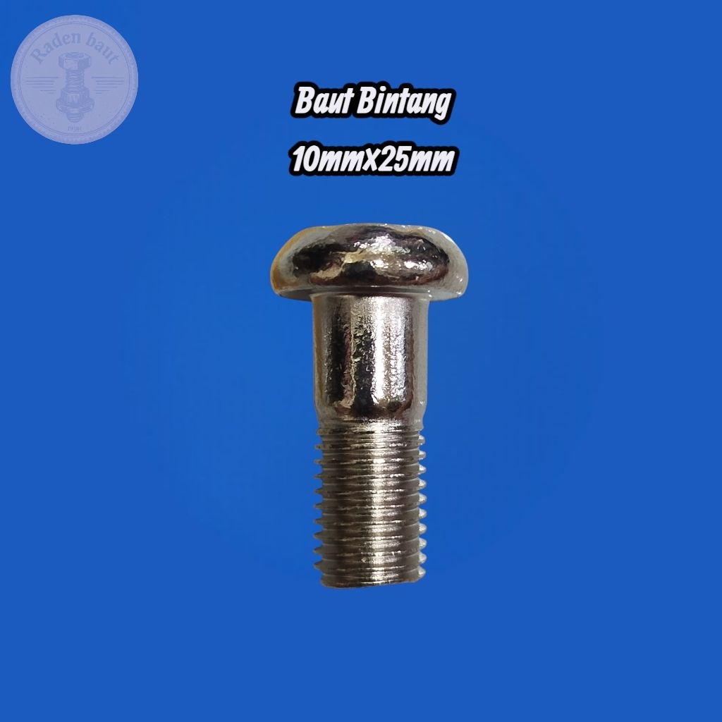 BAUD BINTANG / KALIPER REM CAKRAM YAMAHA 10×25 BAUT 14 KEPALA BABI ( HARGA 1 PCS )