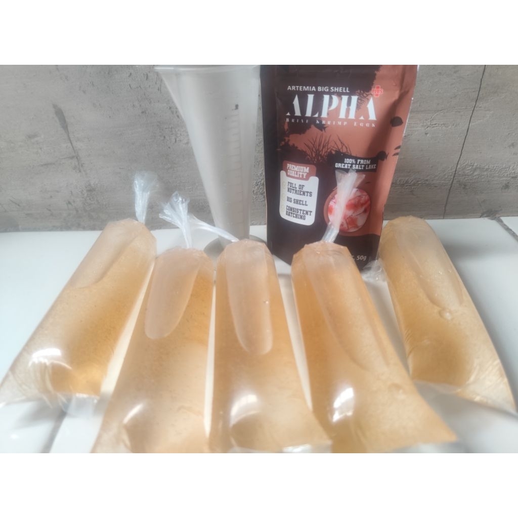 ARTEMIA HIDUP / ARTEMIA TETAS / ARTEMIA ALPHA 100ml