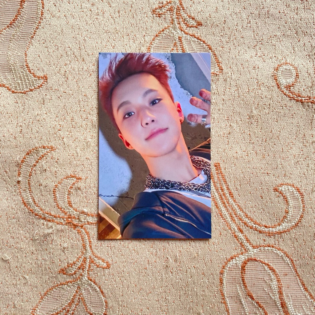 SEVENTEEN BENE UMS HAPPY BURSTDAY OSAKA HOSHI