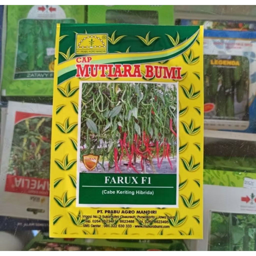 benih bibit cabe keriting unggulan mutiara bumi farux f1 isi 10gram benih unggulan