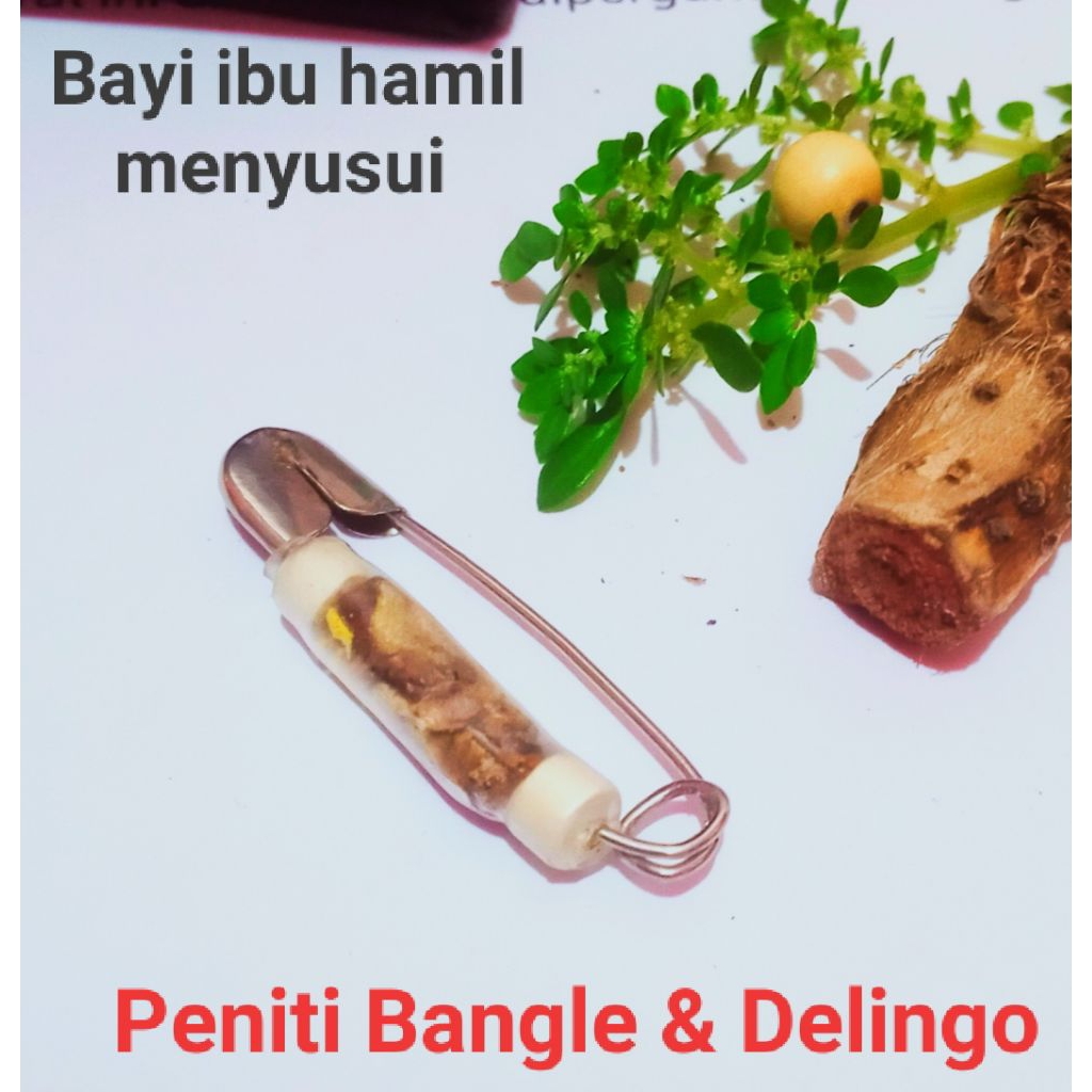 PENITI PENGAIT BANGLE & DELINGO / DELINGU UNTUK BAYI IBU HAMIL MENYUSUI