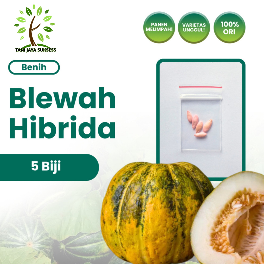 5 Benih Buah Blewah Blaster F1 Hibrida