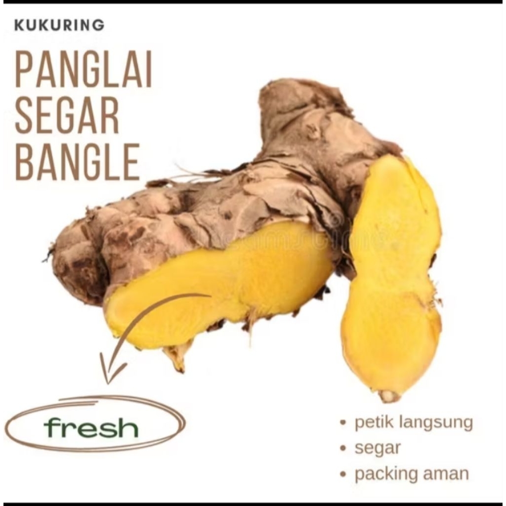 TERMURAH!! bangle/panglai ibu hamil segar FRESH 1 kg