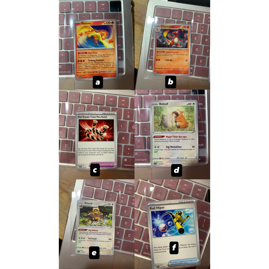 charizard ex terastal cards