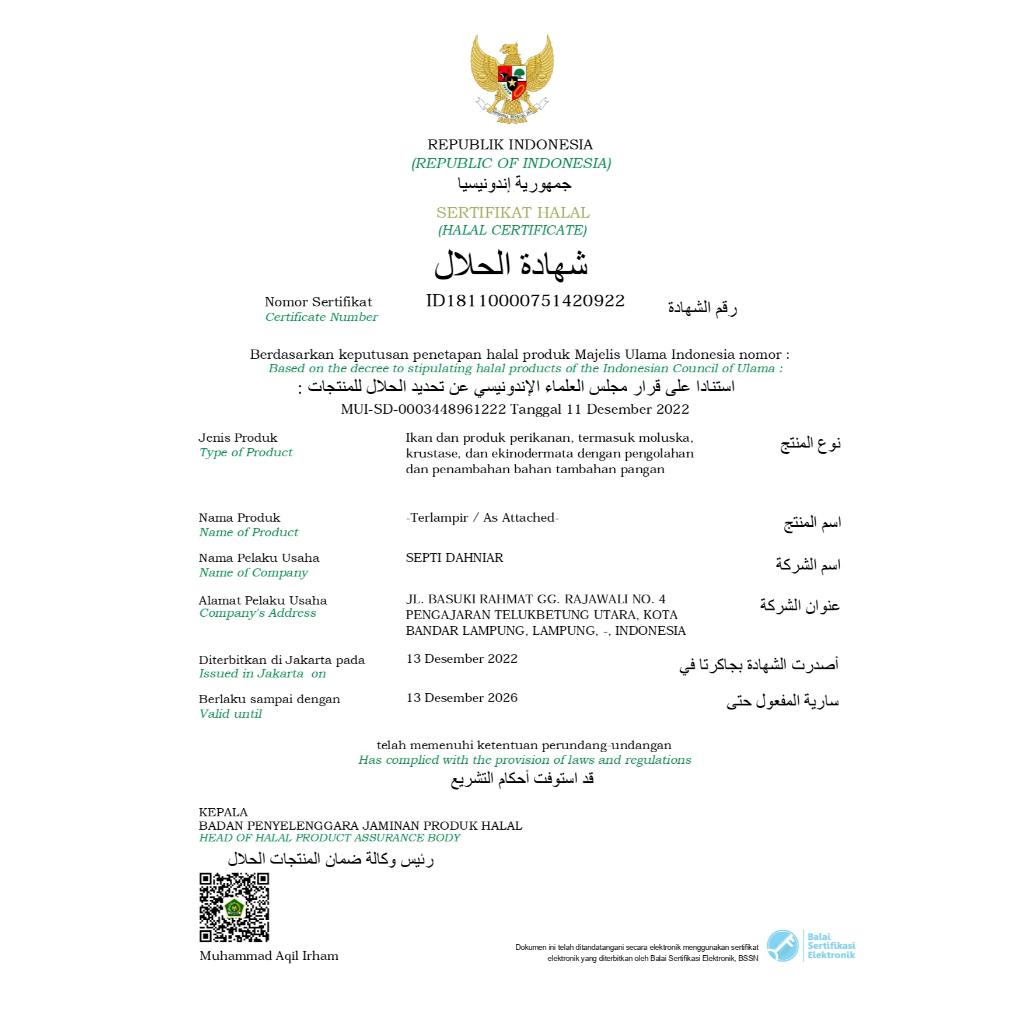 Pempek palembang isi 50