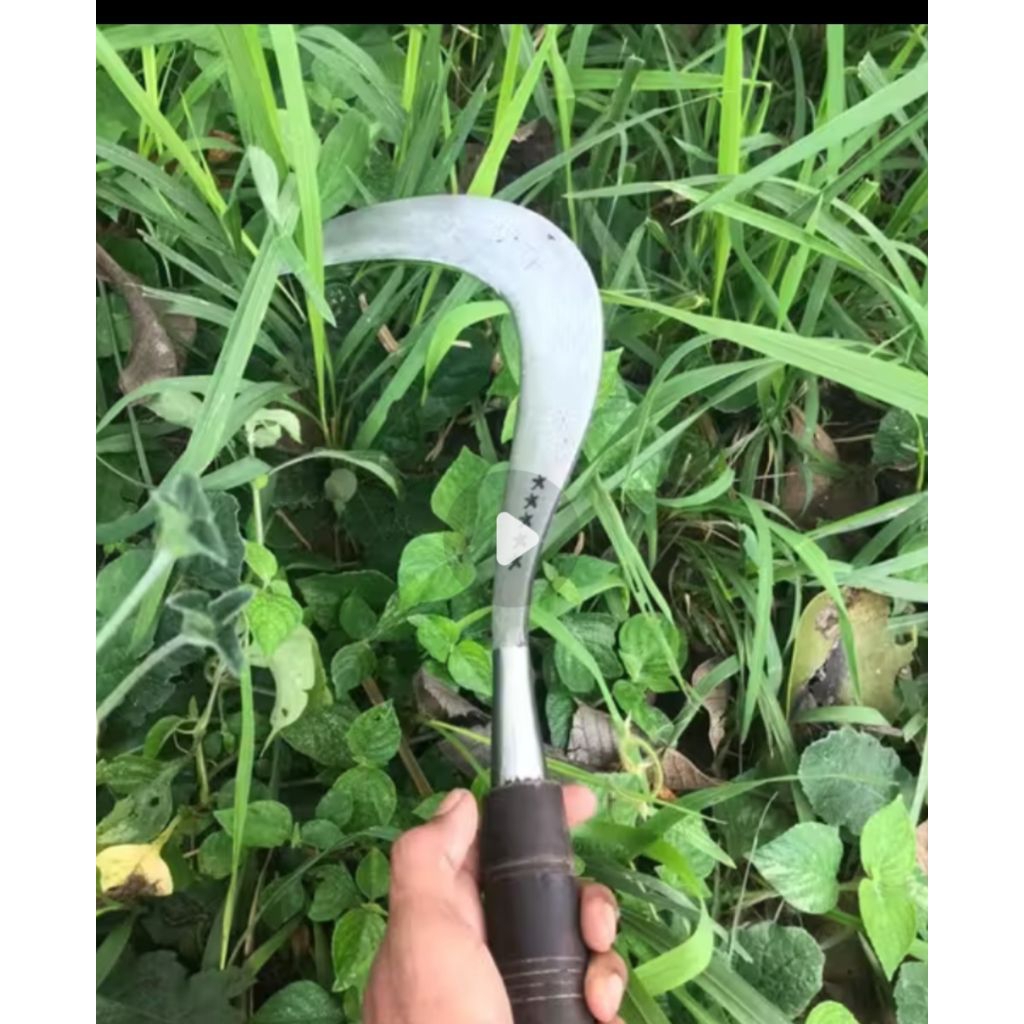 sabit rumput dahan dan ranting