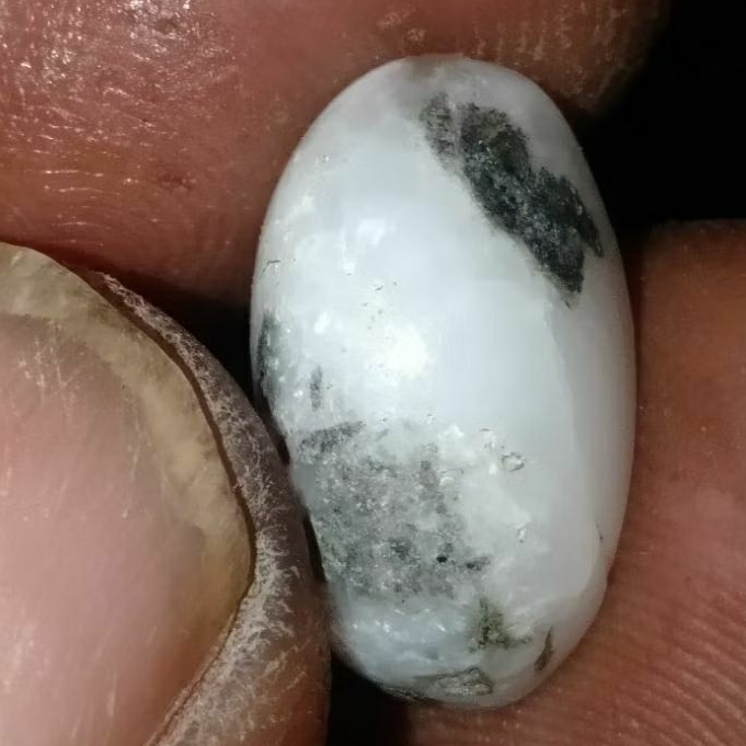 Batu BB Bulu Macan Putih Lumajang Bulu Goyang 3D