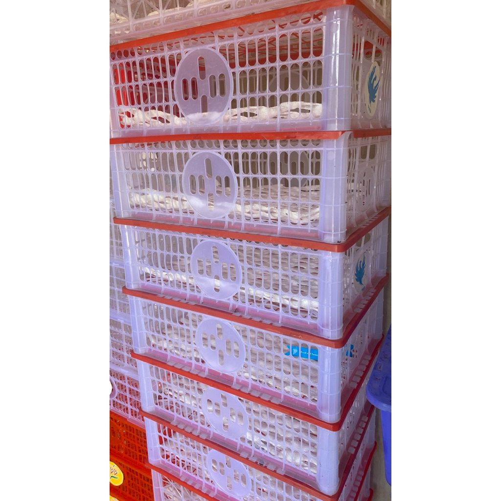 KERANJANG BEKAS BUAH IMPOR