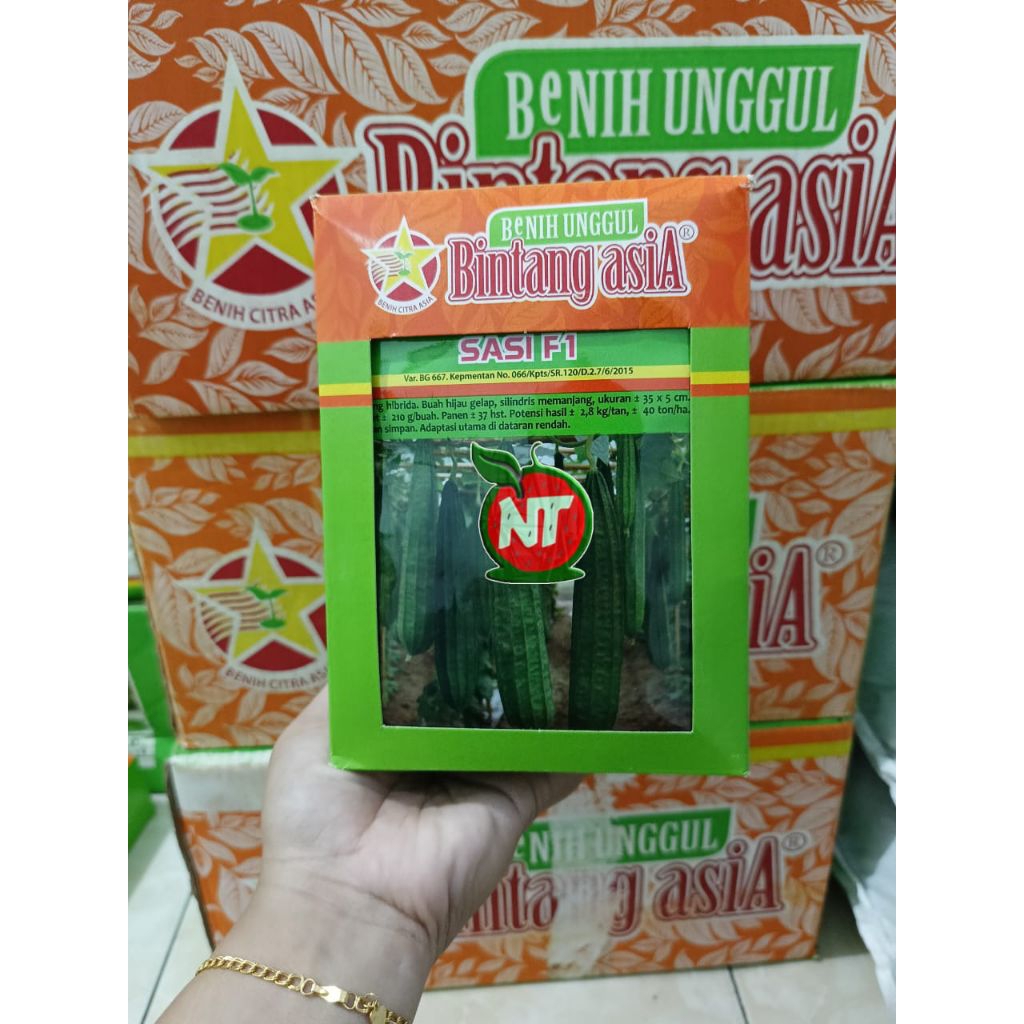 BENIH GAMBAS(OYONG) SASI F1 CAP BINTANG ASIA 10 GRAM
