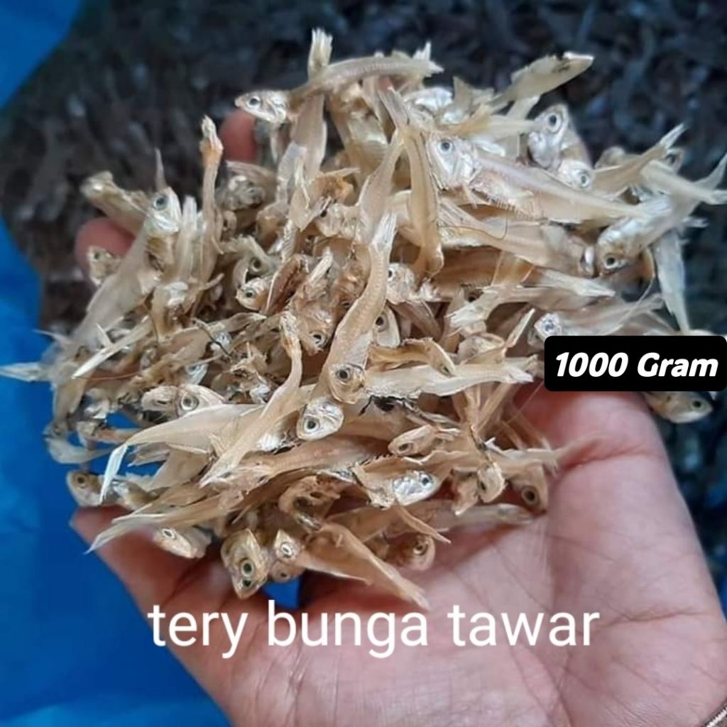 Teri Tawar Medan