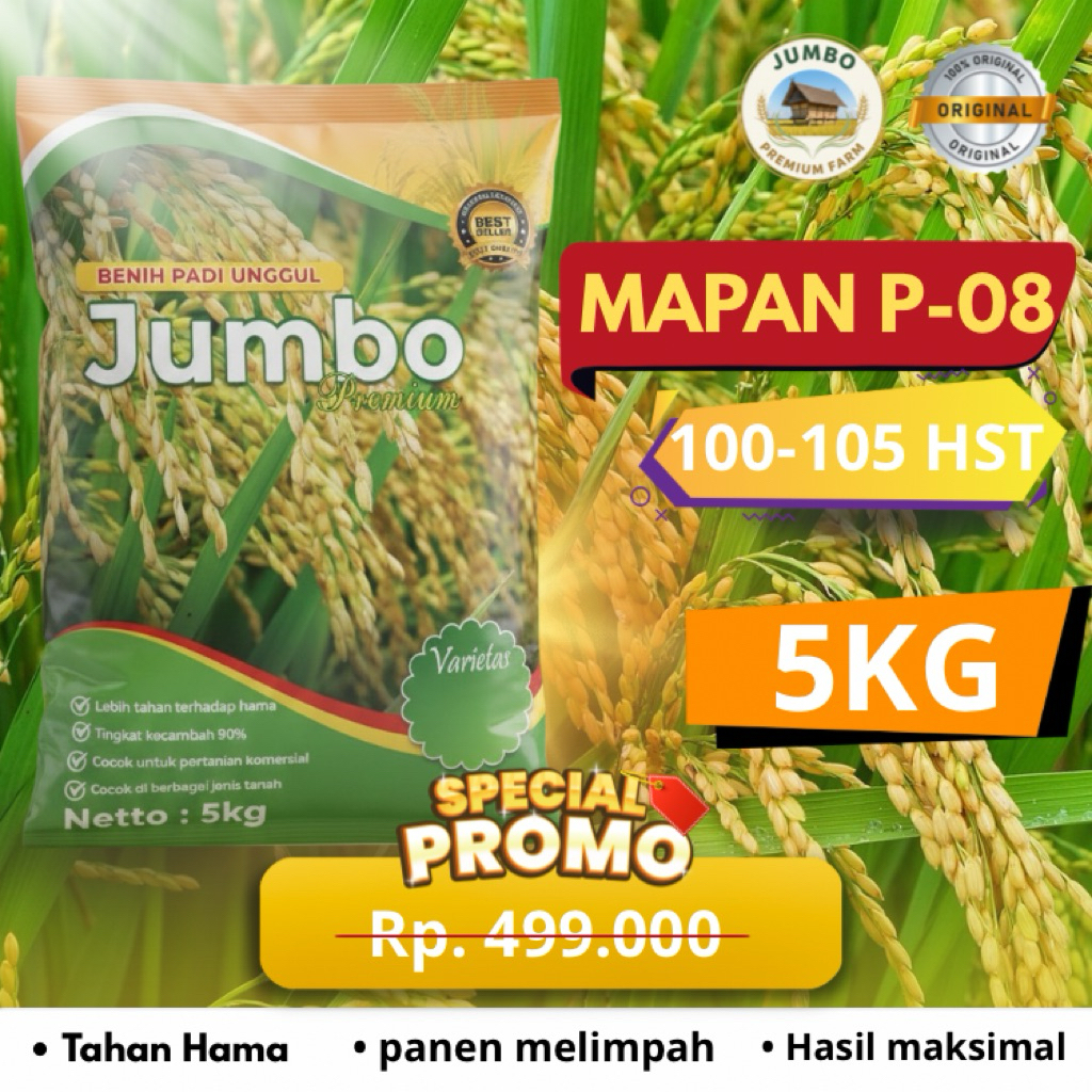 Benih padi MAPAN P-08 benih padi unggul original jumbo premium benih berkualitas