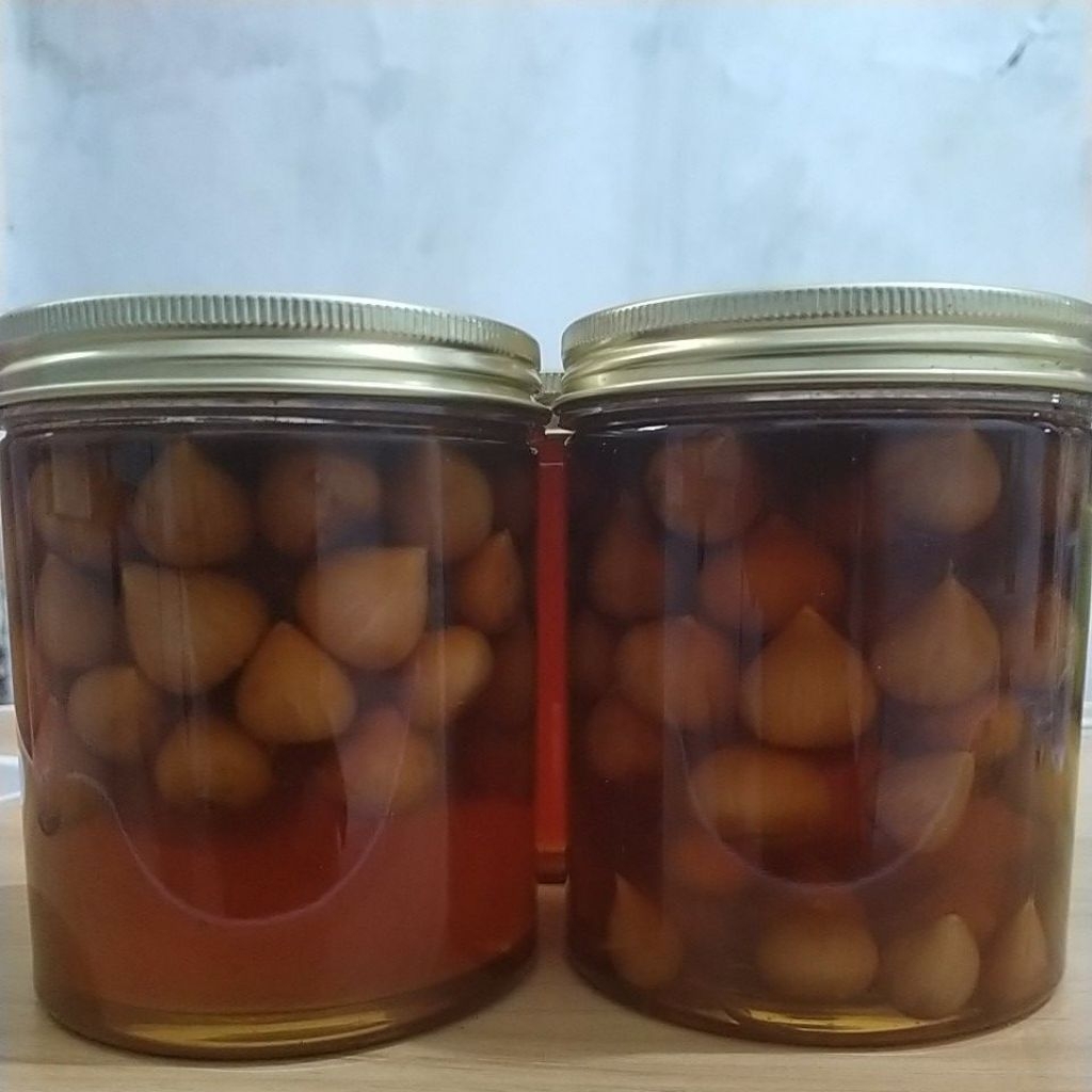 Fermentasi madu bawang tunggal
