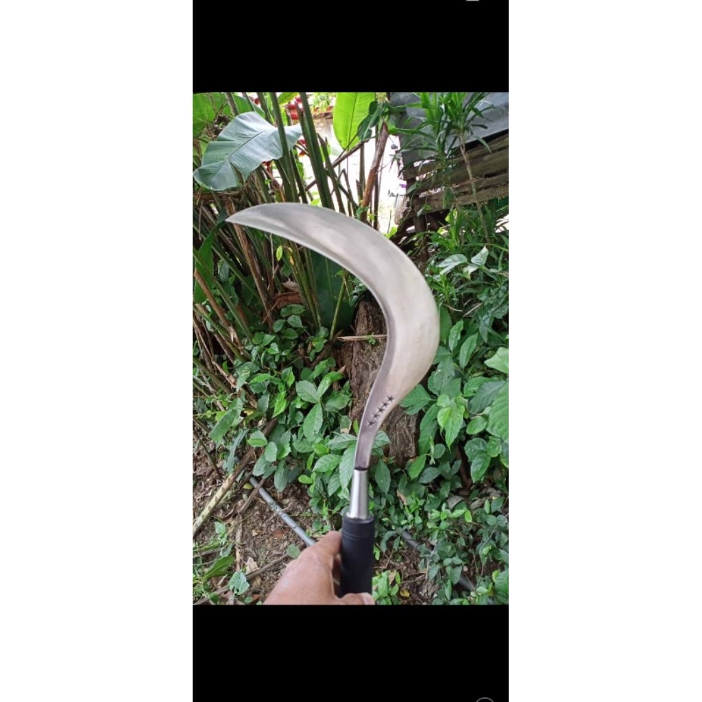 sabit / arit cap bintang 5 kualitas super baja per buatan Madura asli