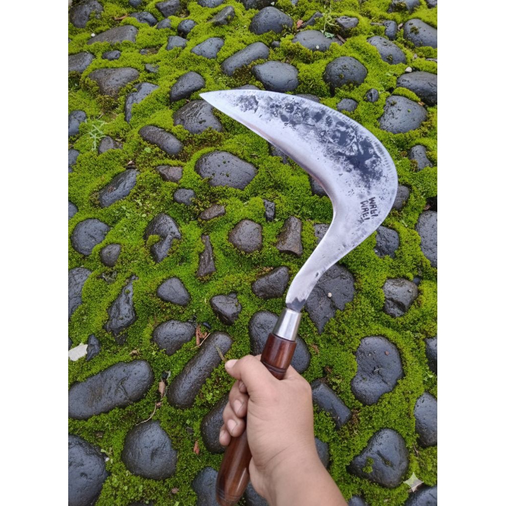 Arit Gaetan Rumput Baja Sepuhan - Sabit Rumput Super Tajam Tradisional