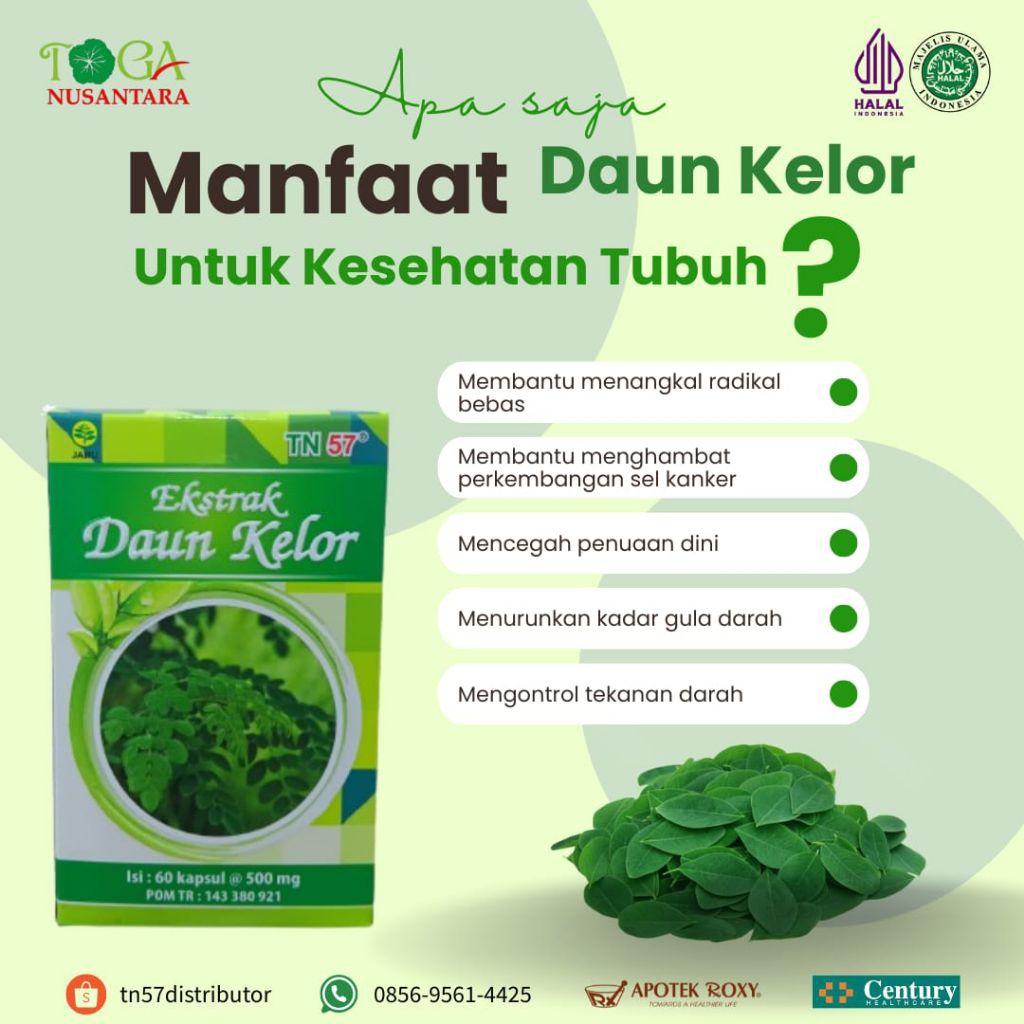 Ekstrak Daun Kelor