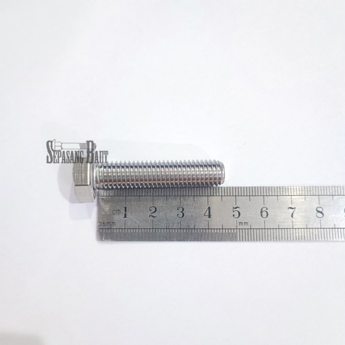 M10 x 45 Baut Hexagon Stainless 304 M10x45