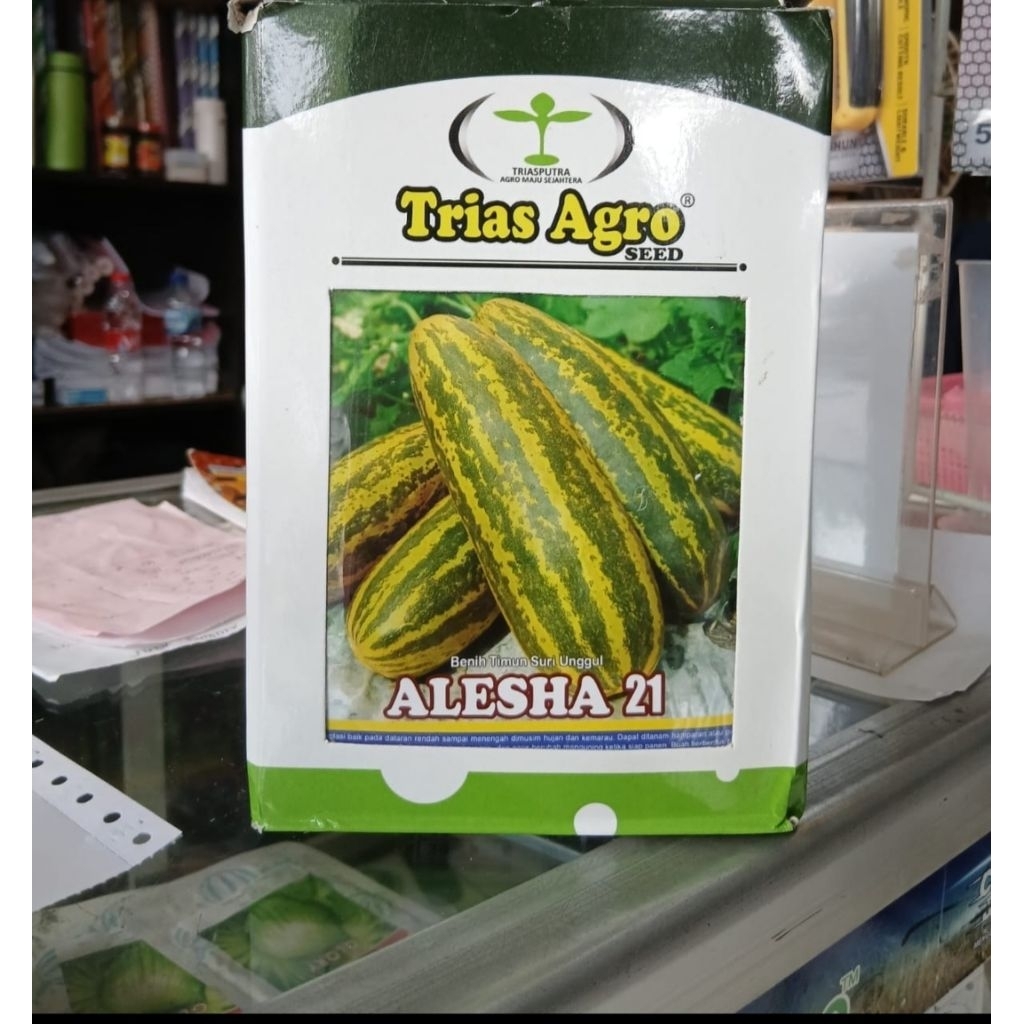 Benih Timun suri ALESHA 21 10 gram_Trias Agro Seed
