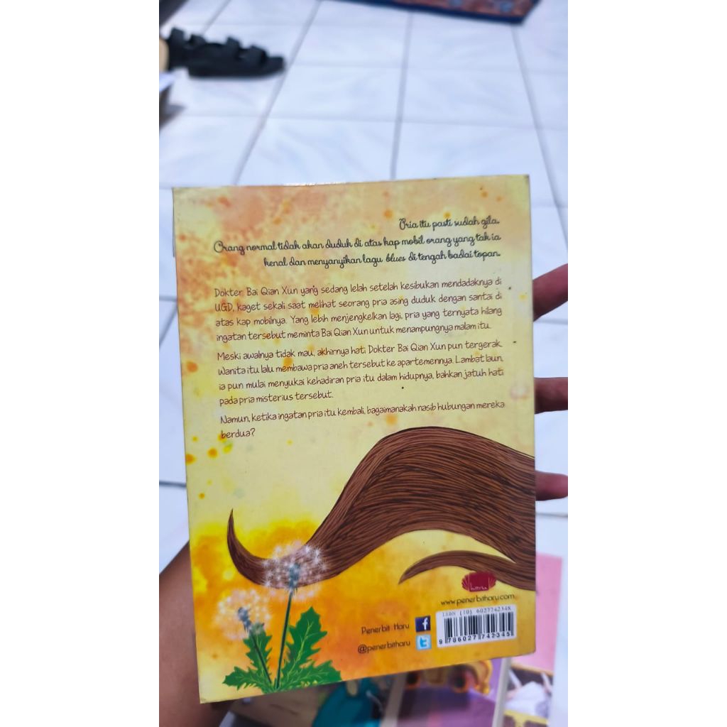 Preloved novel Penerbit Haru A Dandelion Wish