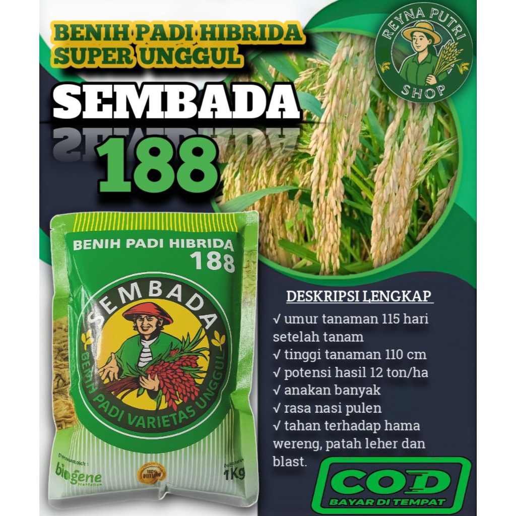 (1KG) Padi Hibrida Sembada 188 Padi unggul berkualitas