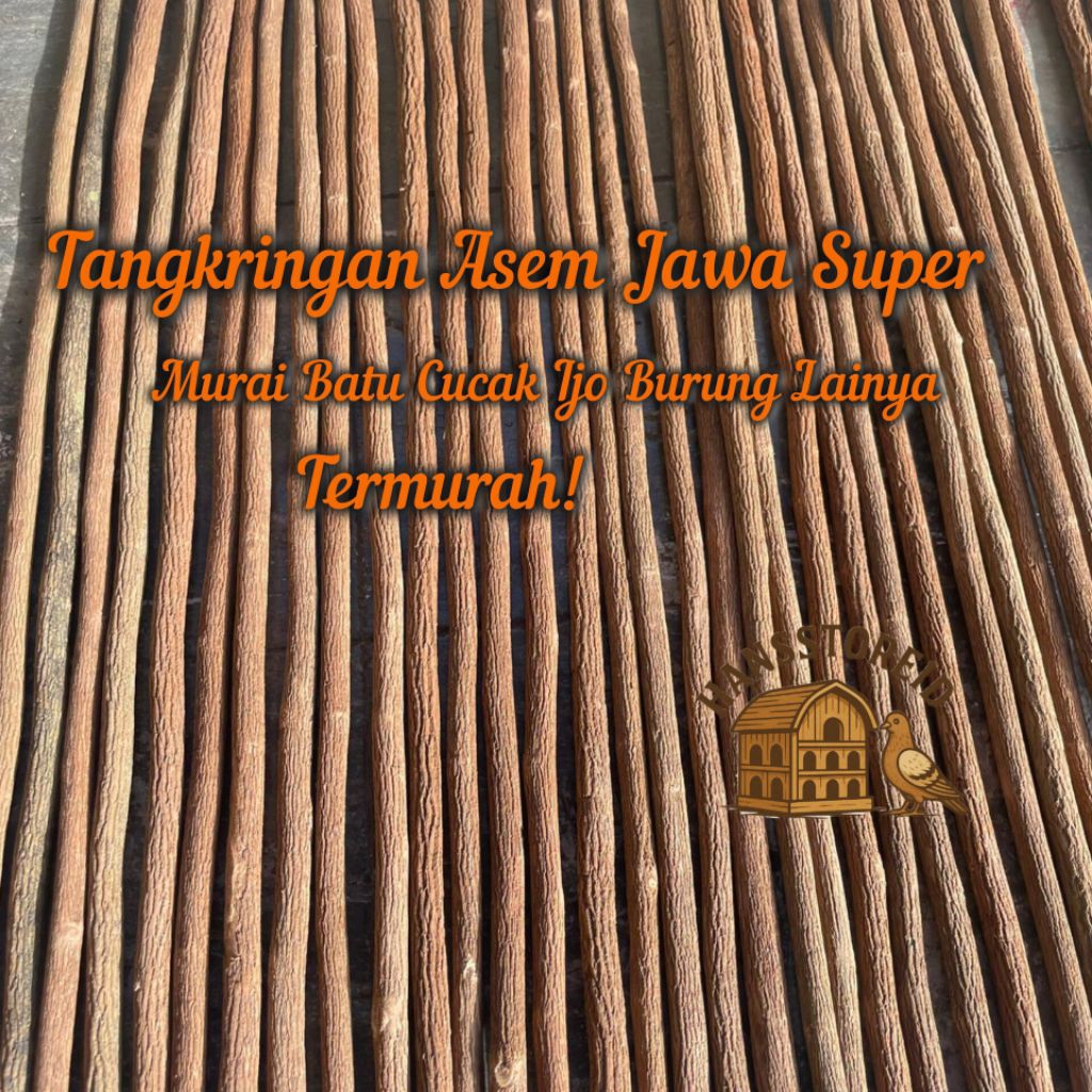 TANGKRINGAN ASEM JAWA SUPER FINISING PREMIUM UNTUK BURUNG MURAI BATU CUCAK IJO CENDET KACER KENARI S