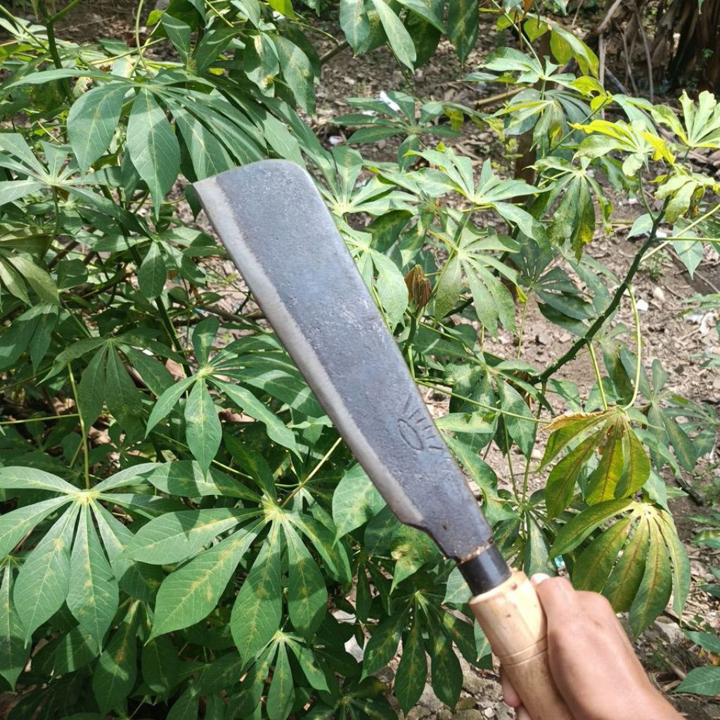 pisau cacah daging dan tulang