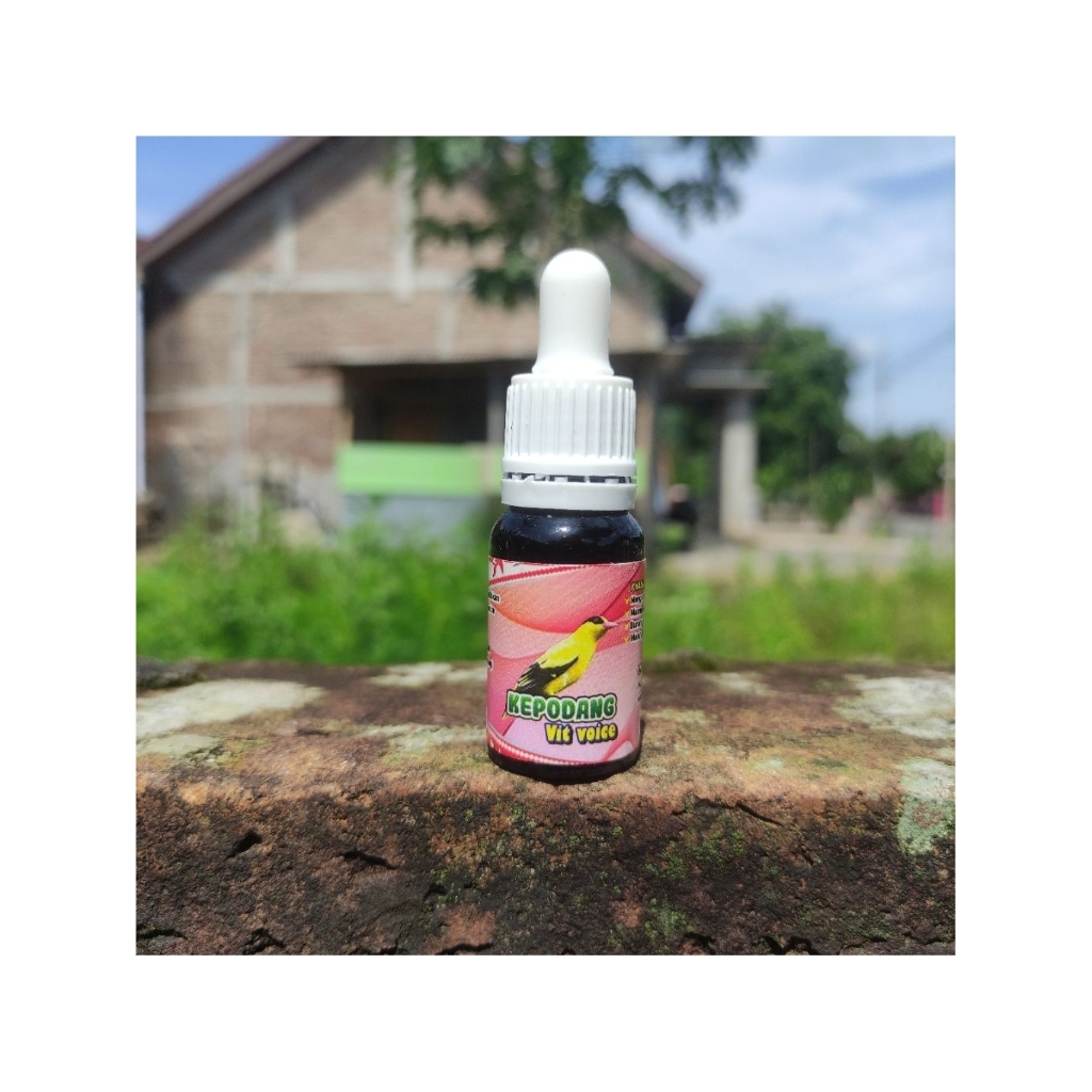 kepodang vit voice vitamin premium burung kepodang  , 100 % josss gacor    kepodang vit voice pengga