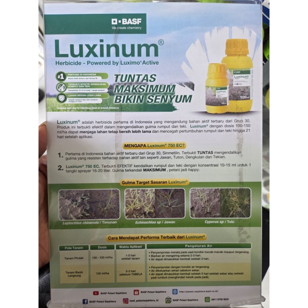 herbisida pra tumbuh Luxinum