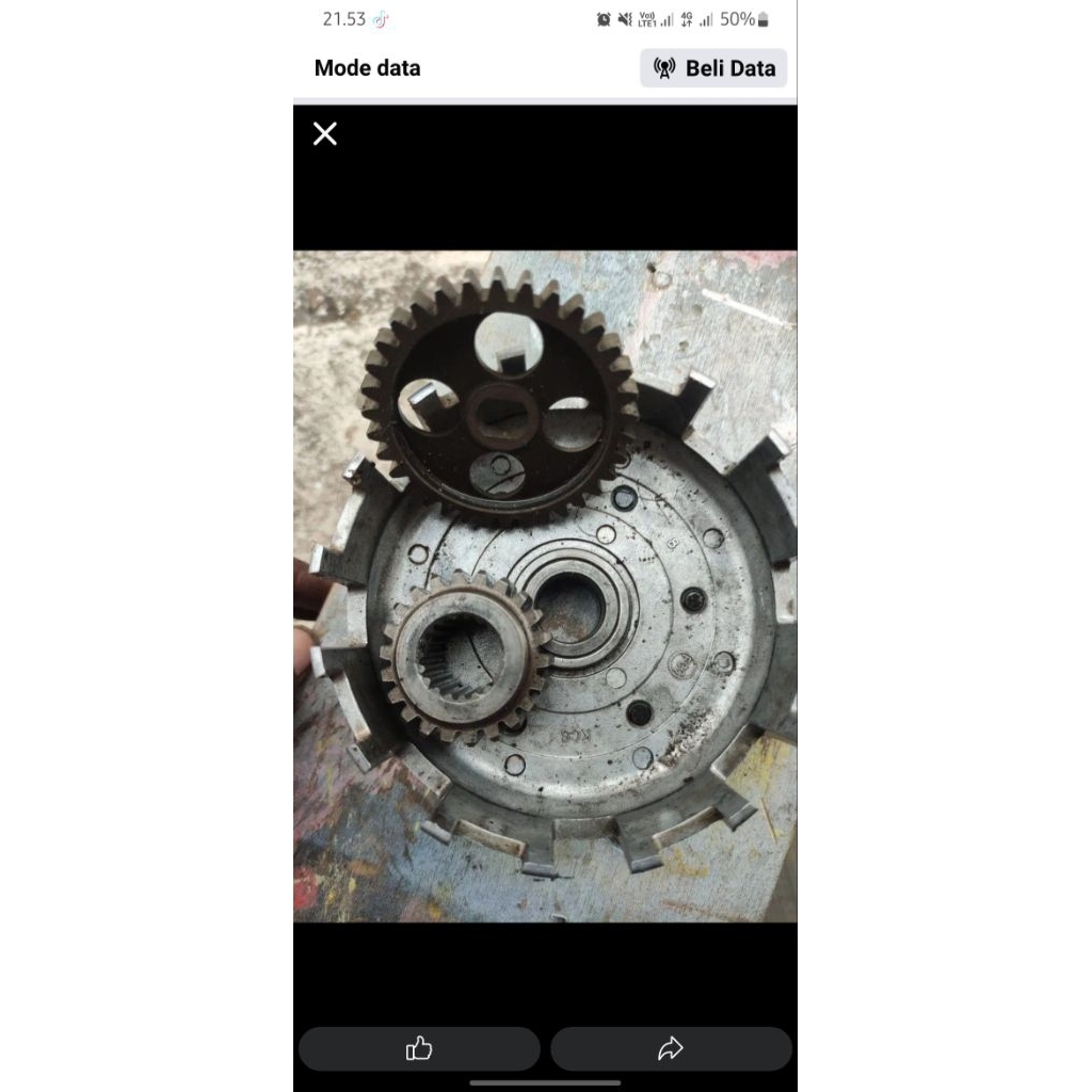 draf gear tiger ori copotan