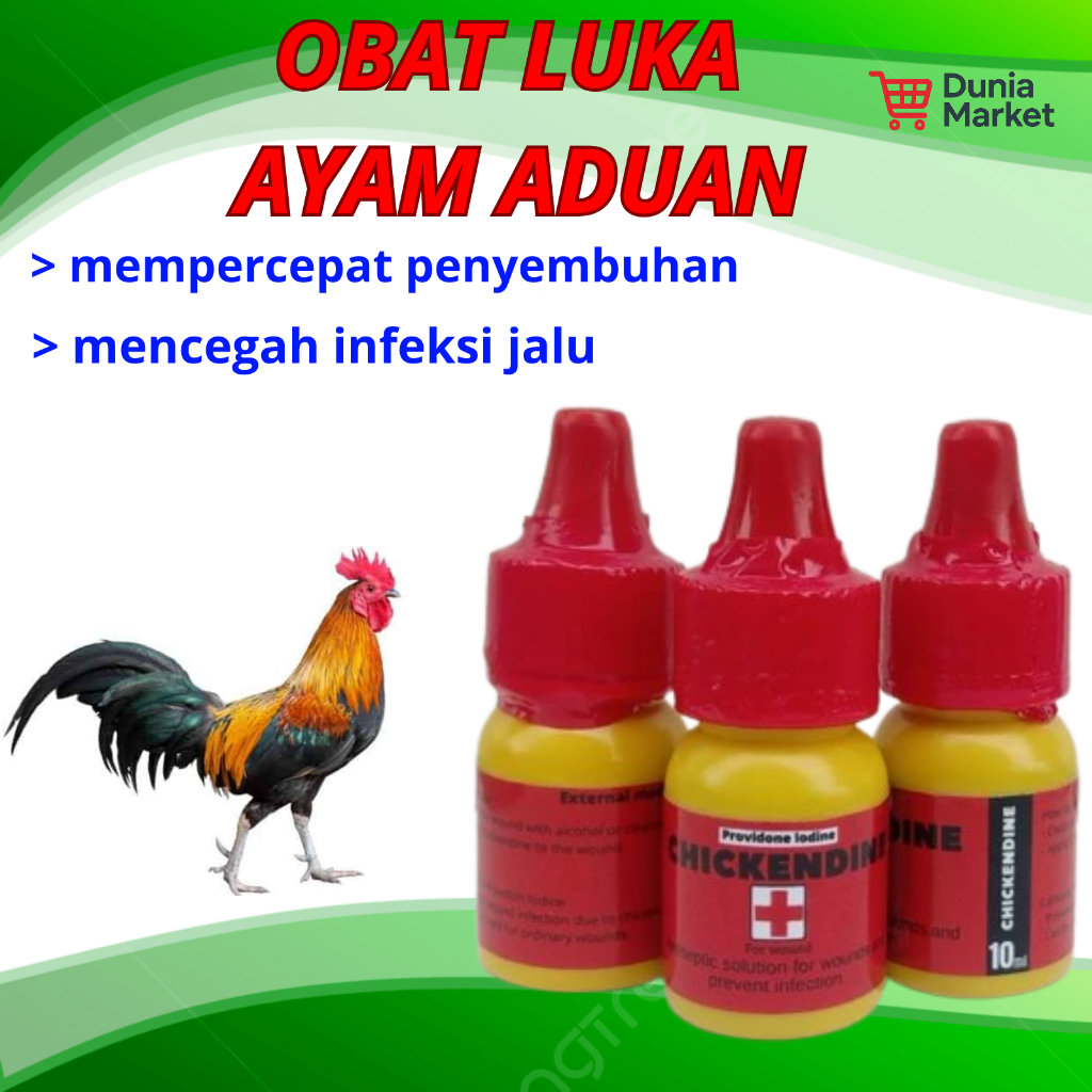 OBAT LUKA HABIS TARUNG AYAM ADUAN LUKA JALU AYAM CHICKENDINE DUNIAMARKET