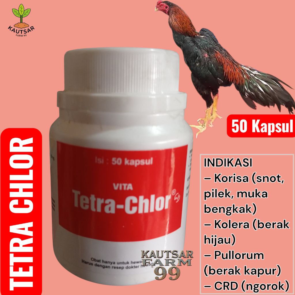Tetra chlor obat unggas ayam bangkok burung puyuh bebek itik