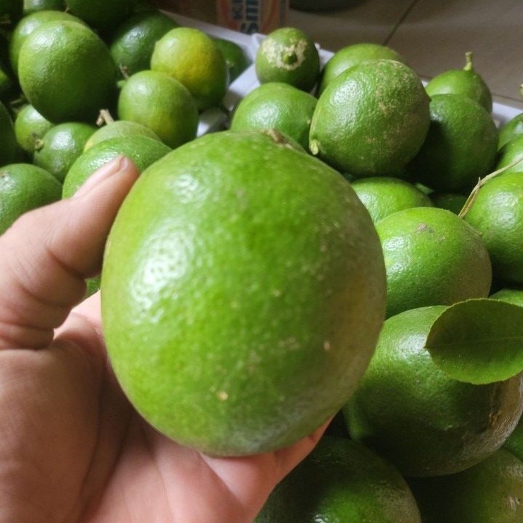 lemon california hijau freshh 1kg