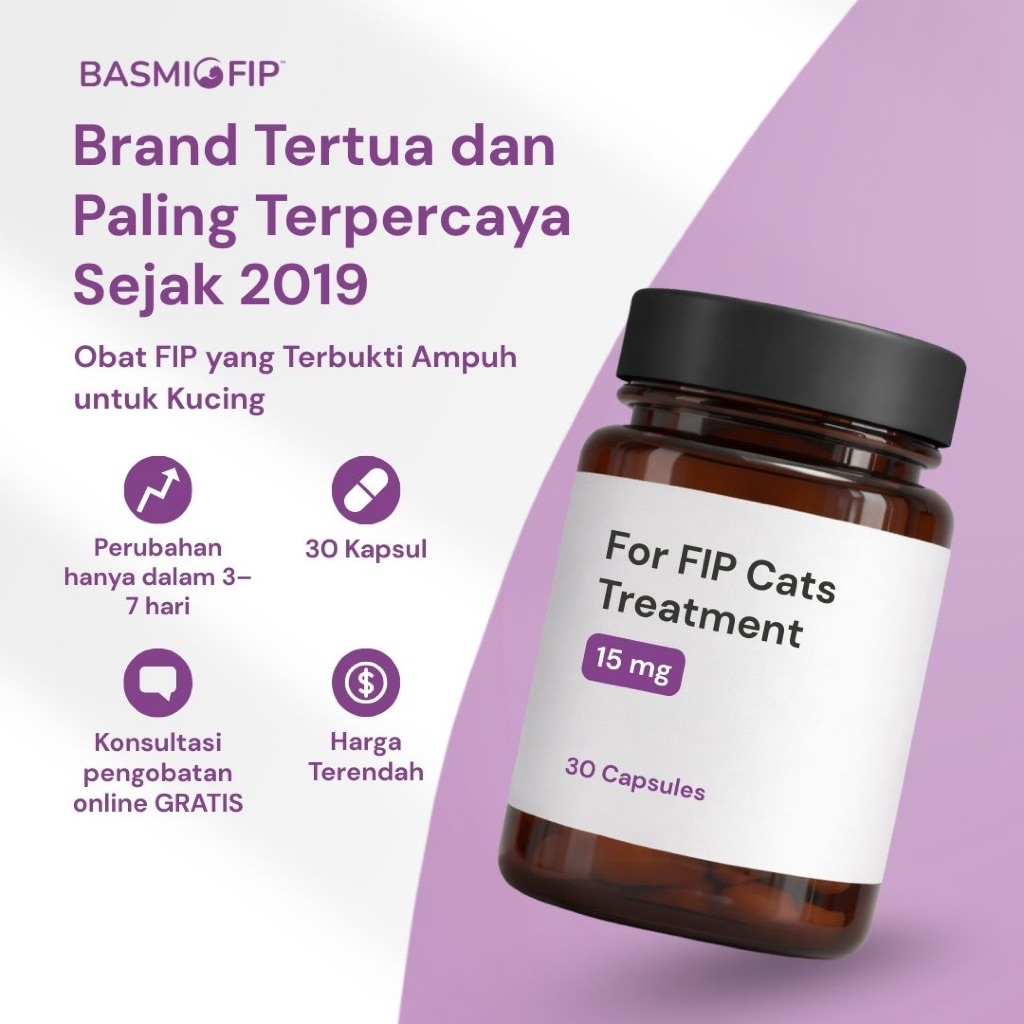 Obat FIP Kucing - Molnupiravir Kucing | BasmiFIP Indonesia