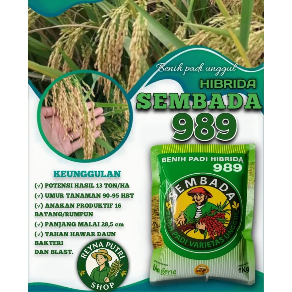 benih padi hibrida sembada 989 super unggul 1kg