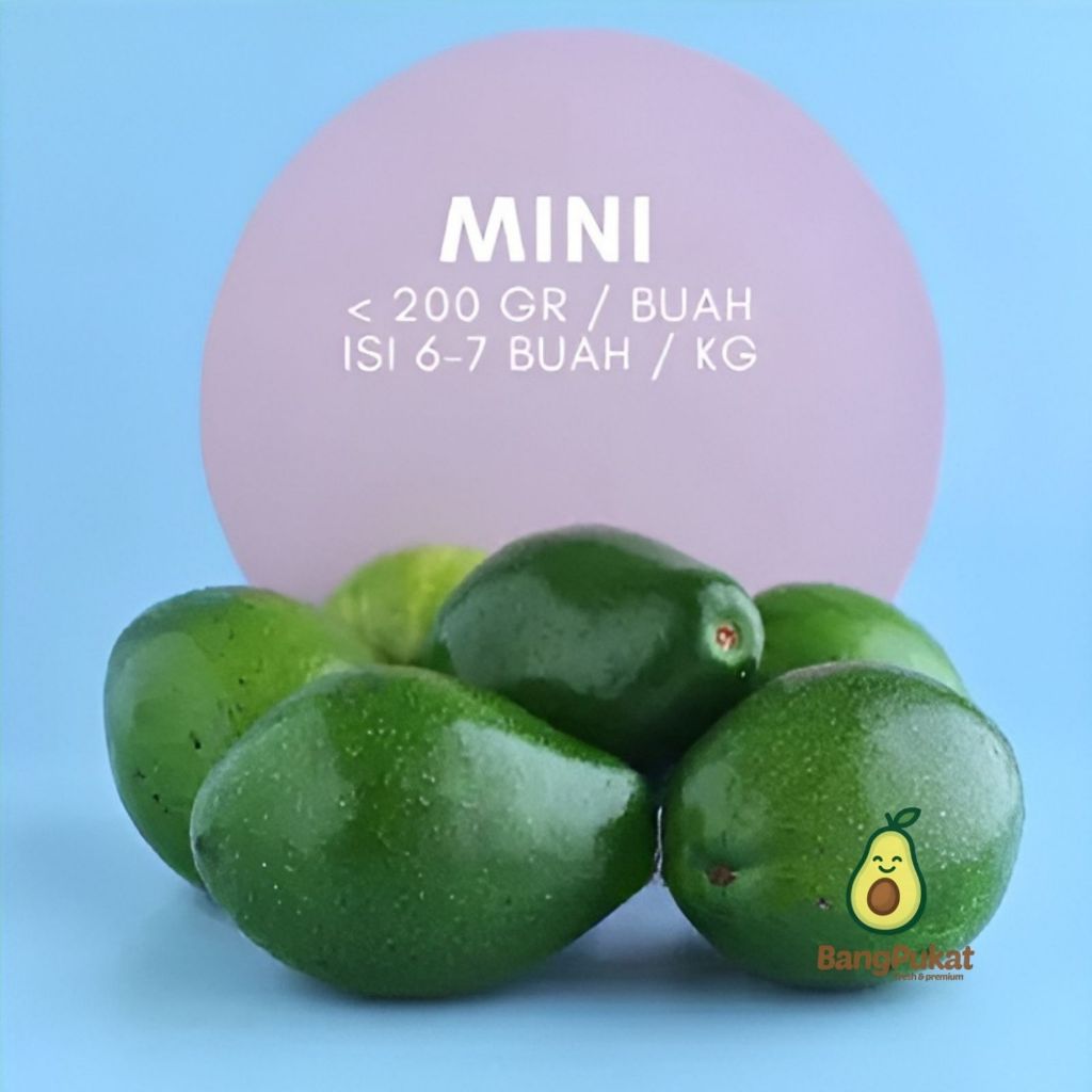 Alpukat Mentega Mini Murah | Cocok Jus, Smoothies & MPASI | Bangpukat Alpukat Creamy