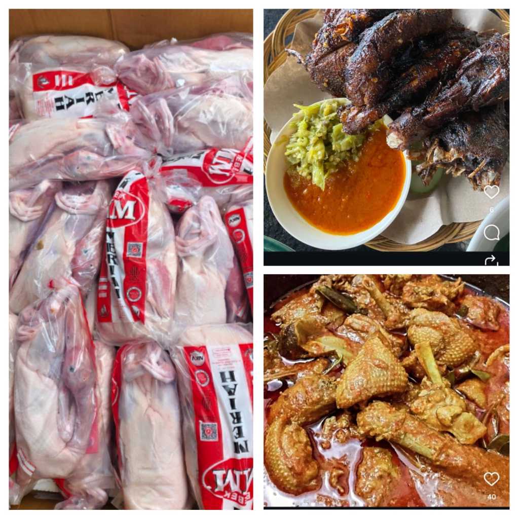 Bebek 1 Ekor - Frozen