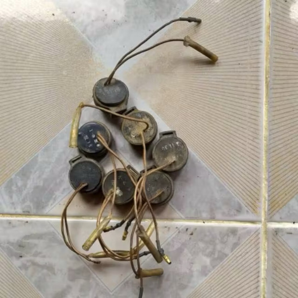 flasher flaser riting tit tit Audio sein fizr alfa sigma