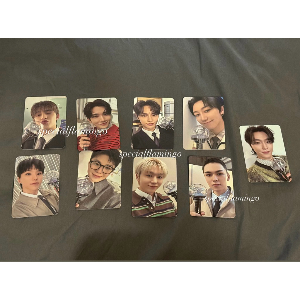 Caratzone Caratland 2025 Photocats